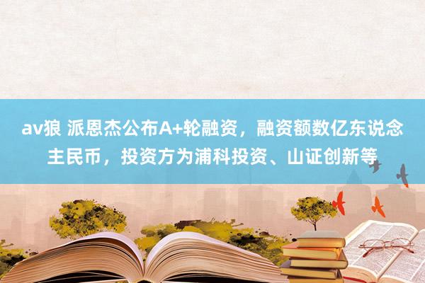 av狼 派恩杰公布A+轮融资，融资额数亿东说念主民币，投资方为浦科投资、山证创新等