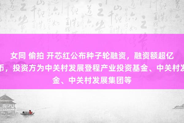 女同 偷拍 开芯红公布种子轮融资，融资额超亿东谈主民币，投资方为中关村发展登程产业投资基金、中关村发展集团等