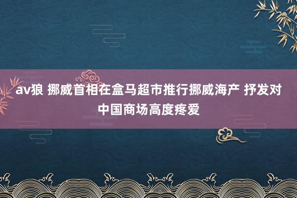 av狼 挪威首相在盒马超市推行挪威海产 抒发对中国商场高度疼爱