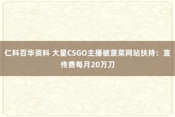 仁科百华资料 大量CSGO主播被菠菜网站扶持：宣传费每月20万刀