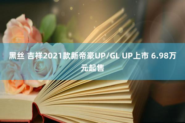 黑丝 吉祥2021款新帝豪UP/GL UP上市 6.98万元起售