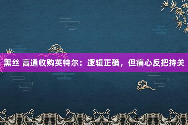 黑丝 高通收购英特尔：逻辑正确，但痛心反把持关