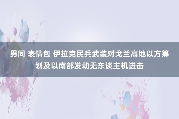 男同 表情包 伊拉克民兵武装对戈兰高地以方筹划及以南部发动无东谈主机进击