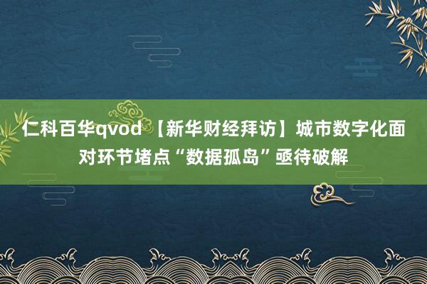 仁科百华qvod 【新华财经拜访】城市数字化面对环节堵点“数据孤岛”亟待破解