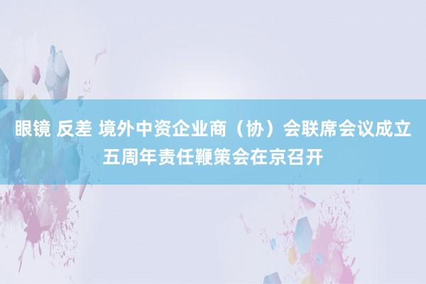 眼镜 反差 境外中资企业商（协）会联席会议成立五周年责任鞭策会在京召开