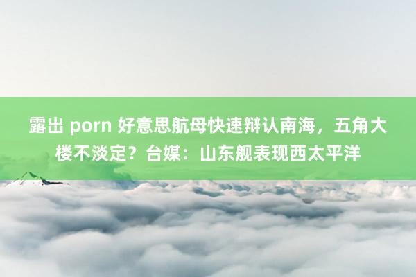 露出 porn 好意思航母快速辩认南海，五角大楼不淡定？台媒：山东舰表现西太平洋