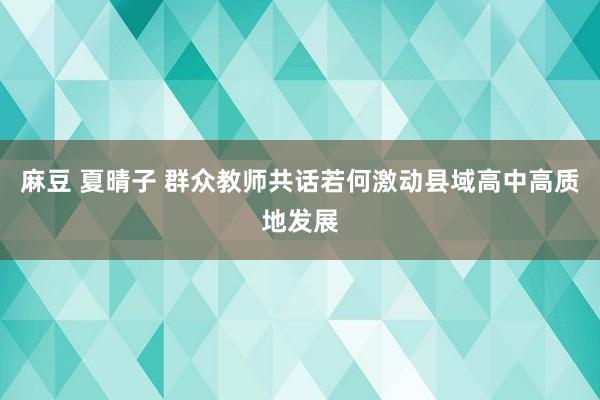 麻豆 夏晴子 群众教师共话若何激动县域高中高质地发展