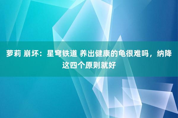 萝莉 崩坏：星穹铁道 养出健康的龟很难吗，纳降这四个原则就好