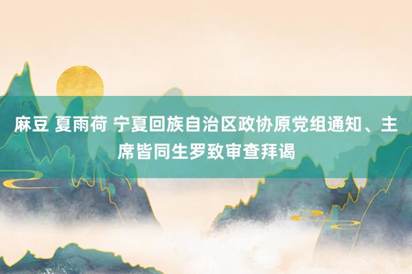 麻豆 夏雨荷 宁夏回族自治区政协原党组通知、主席皆同生罗致审查拜谒