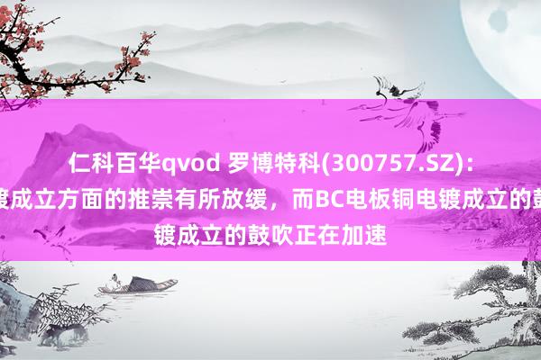 仁科百华qvod 罗博特科(300757.SZ)：异质结铜电镀成立方面的推崇有所放缓，而BC电板铜电镀成立的鼓吹正在加速