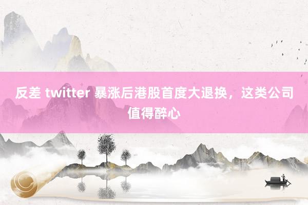 反差 twitter 暴涨后港股首度大退换，这类公司值得醉心