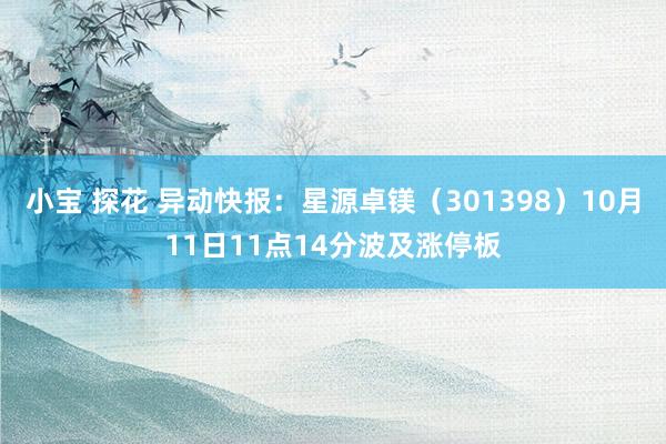 小宝 探花 异动快报：星源卓镁（301398）10月11日11点14分波及涨停板