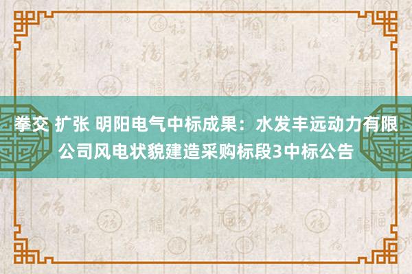 拳交 扩张 明阳电气中标成果：水发丰远动力有限公司风电状貌建造采购标段3中标公告