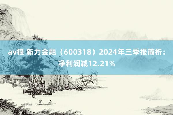 av狼 新力金融（600318）2024年三季报简析：净利润减12.21%