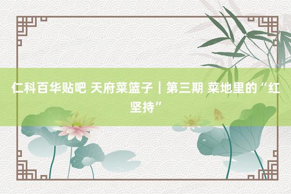 仁科百华贴吧 天府菜篮子｜第三期 菜地里的“红坚持”