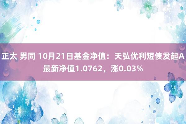 正太 男同 10月21日基金净值：天弘优利短债发起A最新净值1.0762，涨0.03%