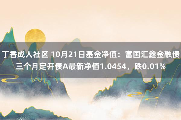 丁香成人社区 10月21日基金净值：富国汇鑫金融债三个月定开债A最新净值1.0454，跌0.01%