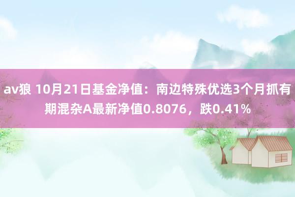 av狼 10月21日基金净值：南边特殊优选3个月抓有期混杂A最新净值0.8076，跌0.41%