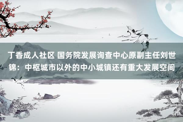 丁香成人社区 国务院发展询查中心原副主任刘世锦：中枢城市以外的中小城镇还有重大发展空间