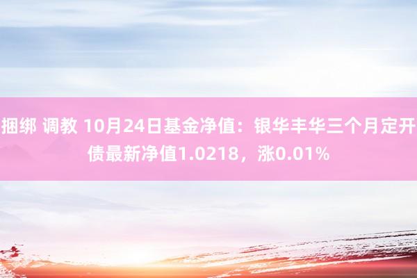 捆绑 调教 10月24日基金净值：银华丰华三个月定开债最新净值1.0218，涨0.01%