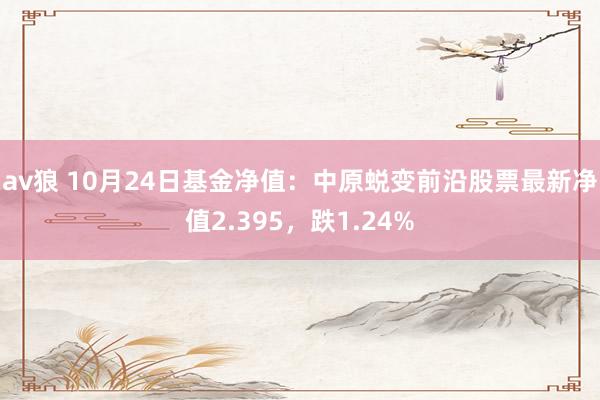 av狼 10月24日基金净值：中原蜕变前沿股票最新净值2.395，跌1.24%