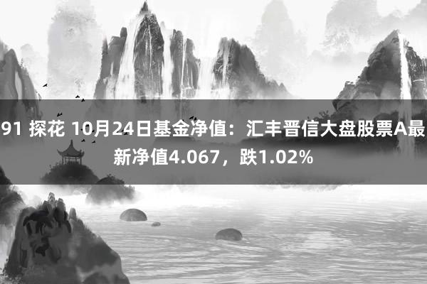 91 探花 10月24日基金净值：汇丰晋信大盘股票A最新净值4.067，跌1.02%