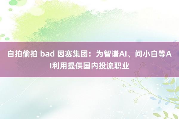 自拍偷拍 bad 因赛集团：为智谱AI、问小白等AI利用提供国内投流职业