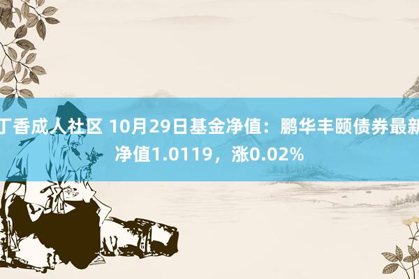 丁香成人社区 10月29日基金净值：鹏华丰颐债券最新净值1.0119，涨0.02%