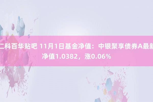 仁科百华贴吧 11月1日基金净值：中银聚享债券A最新净值1.0382，涨0.06%