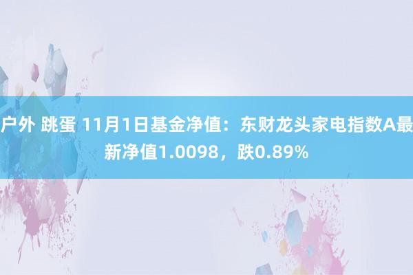 户外 跳蛋 11月1日基金净值：东财龙头家电指数A最新净值1.0098，跌0.89%