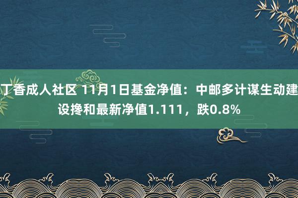 丁香成人社区 11月1日基金净值：中邮多计谋生动建设搀和最新净值1.111，跌0.8%