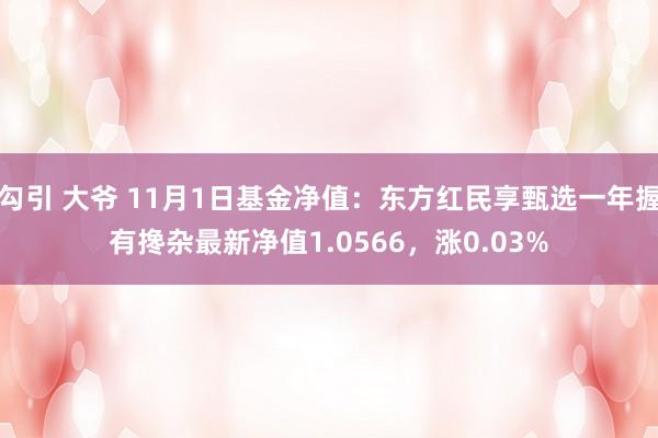 勾引 大爷 11月1日基金净值：东方红民享甄选一年握有搀杂最新净值1.0566，涨0.03%