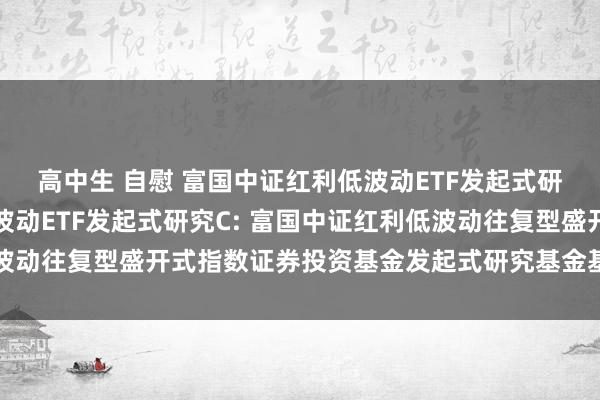 高中生 自慰 富国中证红利低波动ETF发起式研究A，富国中证红利低波动ETF发起式研究C: 富国中证红利低波动往复型盛开式指数证券投资基金发起式研究基金基金合同奏效公告