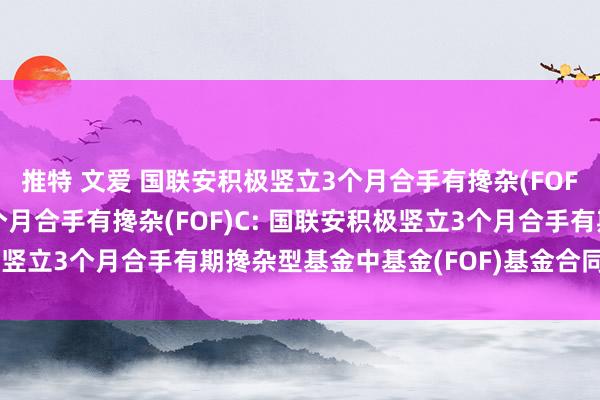 推特 文爱 国联安积极竖立3个月合手有搀杂(FOF)A，国联安积极竖立3个月合手有搀杂(FOF)C: 国联安积极竖立3个月合手有期搀杂型基金中基金(FOF)基金合同奏效的公告