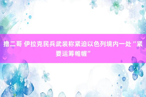 撸二哥 伊拉克民兵武装称紧迫以色列境内一处“紧要运筹帷幄”