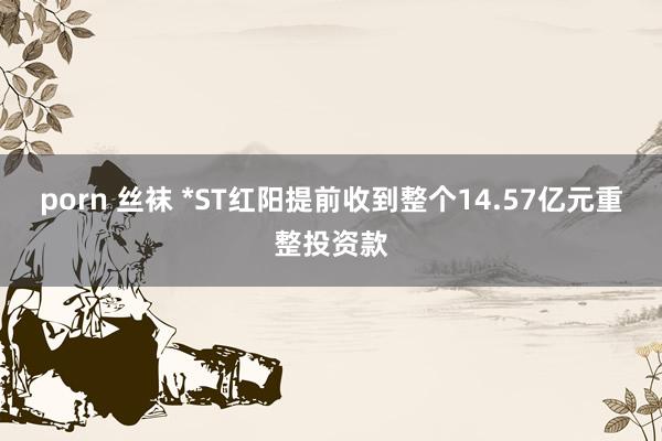 porn 丝袜 *ST红阳提前收到整个14.57亿元重整投资款