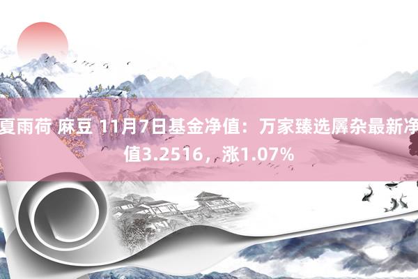 夏雨荷 麻豆 11月7日基金净值：万家臻选羼杂最新净值3.2516，涨1.07%