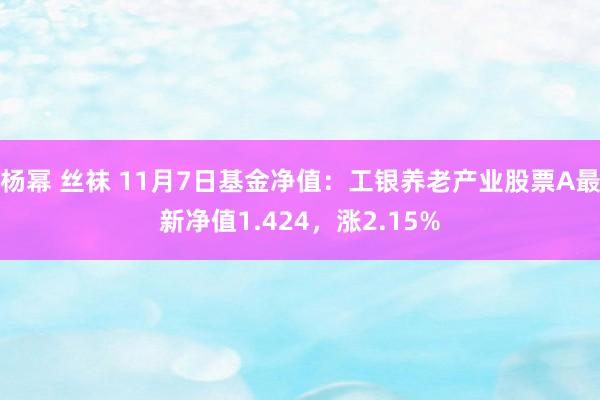 杨幂 丝袜 11月7日基金净值：工银养老产业股票A最新净值1.424，涨2.15%