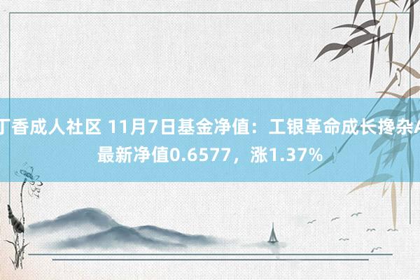 丁香成人社区 11月7日基金净值：工银革命成长搀杂A最新净值0.6577，涨1.37%