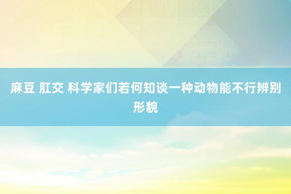 麻豆 肛交 科学家们若何知谈一种动物能不行辨别形貌