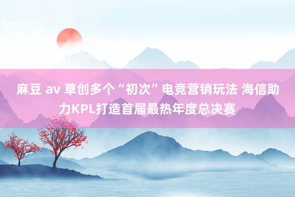 麻豆 av 草创多个“初次”电竞营销玩法 海信助力KPL打造首届最热年度总决赛