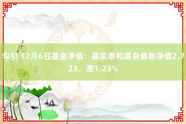 勾引 12月6日基金净值：嘉实泰和羼杂最新净值2.723，涨1.23%