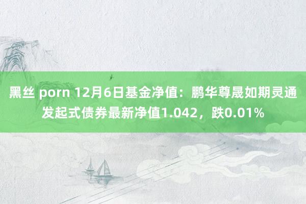 黑丝 porn 12月6日基金净值：鹏华尊晟如期灵通发起式债券最新净值1.042，跌0.01%