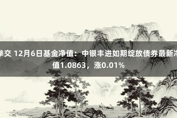 拳交 12月6日基金净值：中银丰进如期绽放债券最新净值1.0863，涨0.01%