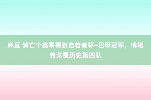 麻豆 消亡个赛季得到自若者杯+巴甲冠军，博塔弗戈是历史第四队