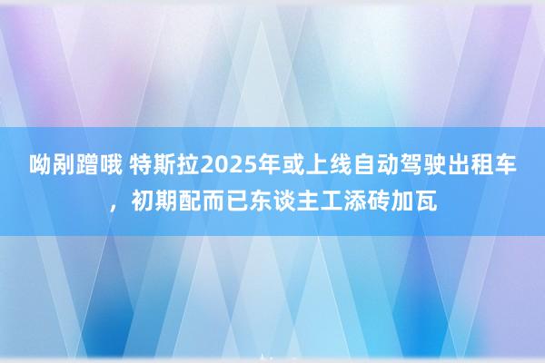 呦剐蹭哦 特斯拉2025年或上线自动驾驶出租车，初期配而已东谈主工添砖加瓦