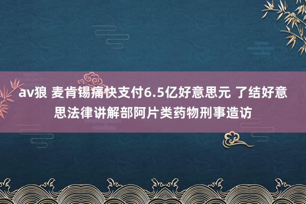 av狼 麦肯锡痛快支付6.5亿好意思元 了结好意思法律讲解部阿片类药物刑事造访