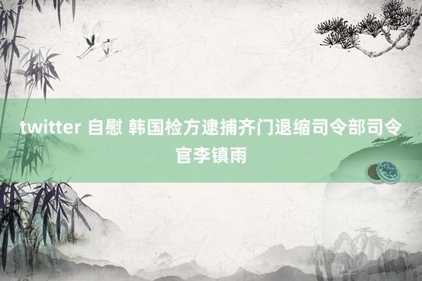 twitter 自慰 韩国检方逮捕齐门退缩司令部司令官李镇雨