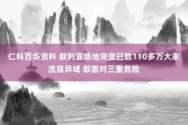 仁科百华资料 叙利亚场地突变已致110多万大家流寇异域 叙面对三重危险