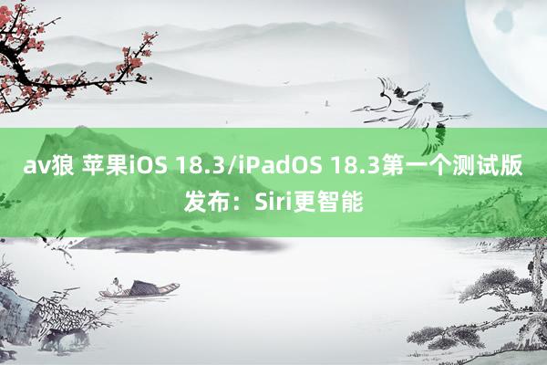 av狼 苹果iOS 18.3/iPadOS 18.3第一个测试版发布：Siri更智能